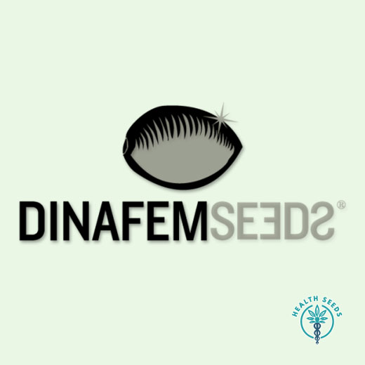 Dinafem Cookies Auto