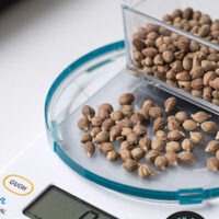 DIGITAL SCALES