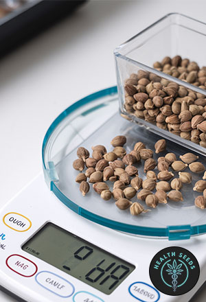 DIGITAL SCALES