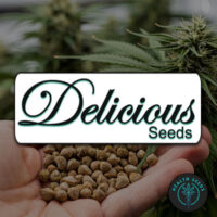 DELICIOUS SEEDS