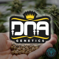 DNA GENETICS