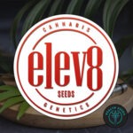 Семена ELEV8