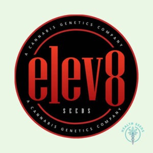 Midnight Bessie Auto - Elev8 Seeds