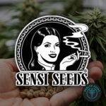 Семена SENSI