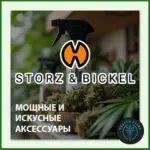 МОЩНЫЕ И ИСКУСНЫЕ АКСЕССУАРЫ