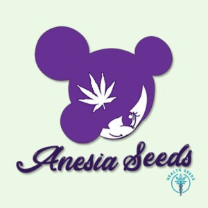 Auto Bubblegum - Anesia Seeds