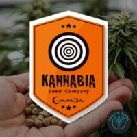 kannabia