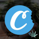 Сатива COOKIES SEED BANK